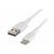 Belkin Male USB-C Male USB-A White 2 m