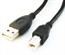 CABLE USB2 AM-BM 1.8M/CCP-USB2-AMBM-6 GEMBIRD