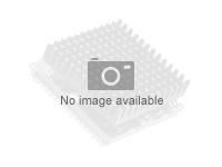 INTEL Core i3-13100F 3.4Ghz FC-LGA16A 12M Cache Boxed CPU