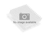 INTEL Core i3-13100F 3.4Ghz FC-LGA16A 12M Cache Boxed CPU