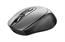 MOUSE USB OPTICAL WRL ZAYA/BLACK 23809 TRUST