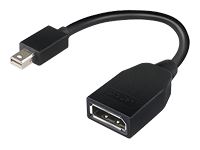 Network Adapters