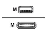 UNITEK Y-C4025ASL Unitek Cable USB to USB type-C 2.0 Silver Y-C4025ASL