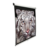 Elite Screens Manual Series M99NWS1 Diagonal 99 ", 1:1, Viewable screen width (W) 178 cm, White