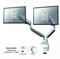 MONITOR ACC DESK MOUNT 10-32"/NM-D750DSILVER NEOMOUNTS