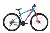 BICYCLE 29