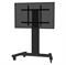 TV SET ACC FLOOR STAND 42-100"/PLASMA-M2250BLACK NEOMOUNTS