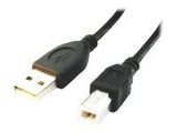 CABLE USB2 AM-BM 1.8M/CCP-USB2-AMBM-6 GEMBIRD