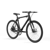 Sharp Hybrid E-Bike 250 W 21 