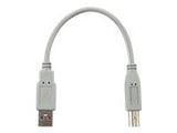 QOLTEC 50393 Qoltec Cable USB 2.0 Type A male   USB B male   0.19m