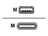 UNITEK Y-C4025AGY Unitek Kabel USB zu USB Typ-C 2.0 Grau; Y-C4025AGY