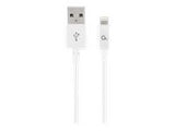 GEMBIRD CC-USB2P-AMLM-2M-W Gembird 8-pin charging and data cable, 2m, white