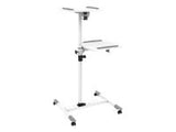 TECHLY 309593 Universal projector / notebook trolley with two shelves. white